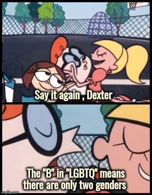 Say it Again, Dexter Meme | Say it again , Dexter The "B" in "LGBTQ" means there are only two genders | image tagged in memes,say it again dexter | made w/ Imgflip meme maker