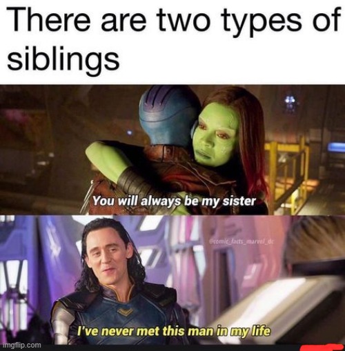 1st one is totally for my sister and second is totally for my brother | made w/ Imgflip meme maker