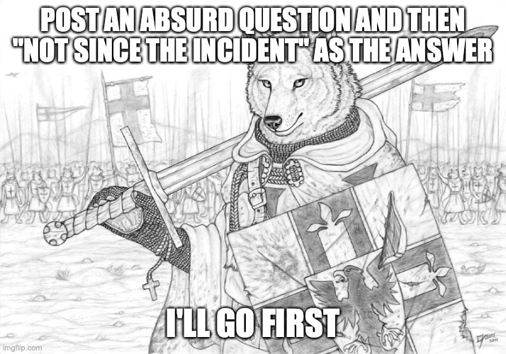 thing | POST AN ABSURD QUESTION AND THEN "NOT SINCE THE INCIDENT" AS THE ANSWER; I'LL GO FIRST | image tagged in fursader | made w/ Imgflip meme maker
