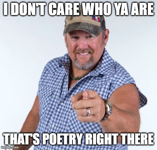 that's poetry | I DON'T CARE WHO YA ARE; THAT'S POETRY RIGHT THERE | image tagged in larry the cable guy | made w/ Imgflip meme maker