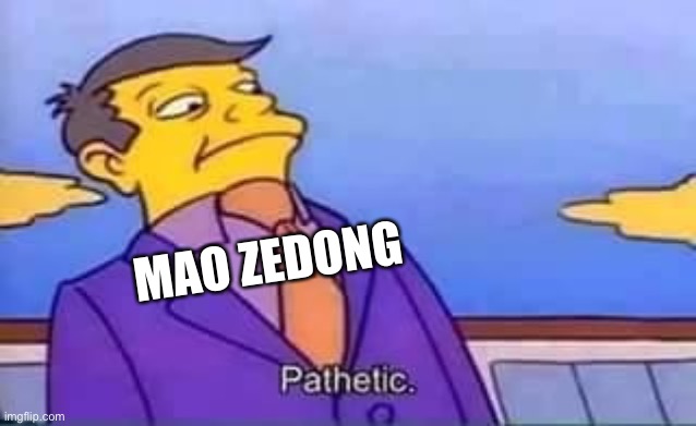 skinner pathetic | MAO ZEDONG | image tagged in skinner pathetic | made w/ Imgflip meme maker