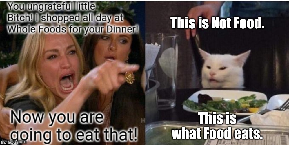 This isn't Food | This is Not Food. This is what Food eats. | image tagged in woman yelling at cat | made w/ Imgflip meme maker