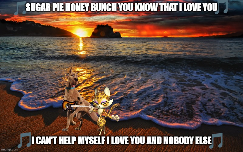 scooby pie honey bunch | SUGAR PIE HONEY BUNCH YOU KNOW THAT I LOVE YOU; I CAN'T HELP MYSELF I LOVE YOU AND NOBODY ELSE | image tagged in sunset beach,scooby doo,romance,cats,dogs | made w/ Imgflip meme maker