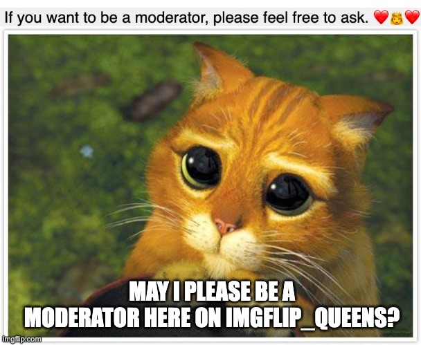You said I could ask, and I do want to be a mod. | MAY I PLEASE BE A MODERATOR HERE ON IMGFLIP_QUEENS? | image tagged in mods,imgflip queens,streams | made w/ Imgflip meme maker