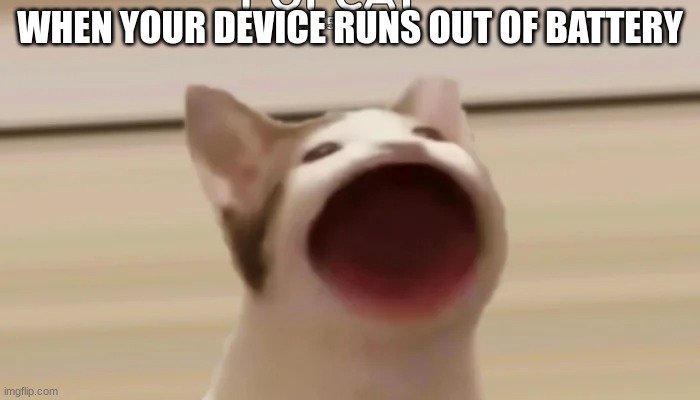 POP CAT | WHEN YOUR DEVICE RUNS OUT OF BATTERY | image tagged in cats | made w/ Imgflip meme maker