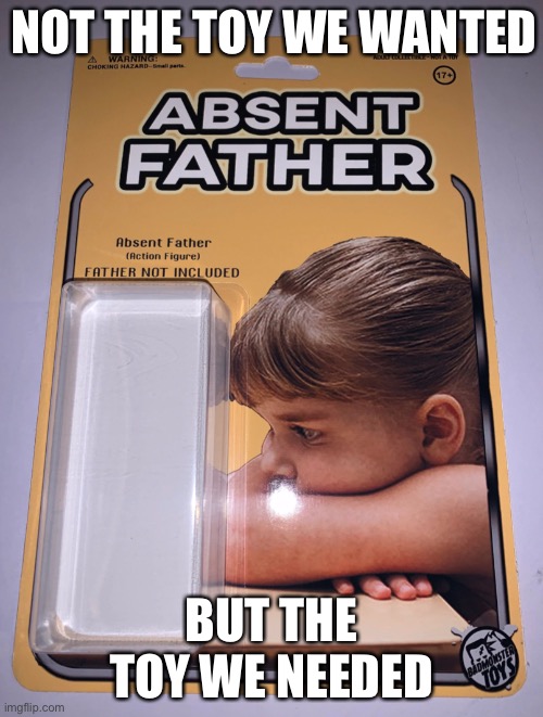 NOT THE TOY WE WANTED; BUT THE TOY WE NEEDED | image tagged in toys,father | made w/ Imgflip meme maker