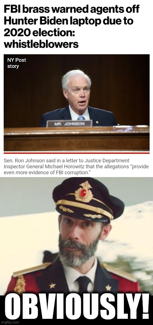 No American institution has ever been as corrupt as the FBI is now | NY Post
story; OBVIOUSLY! | image tagged in captain obvious,memes,fbi,doj,corruption,ron johnson | made w/ Imgflip meme maker