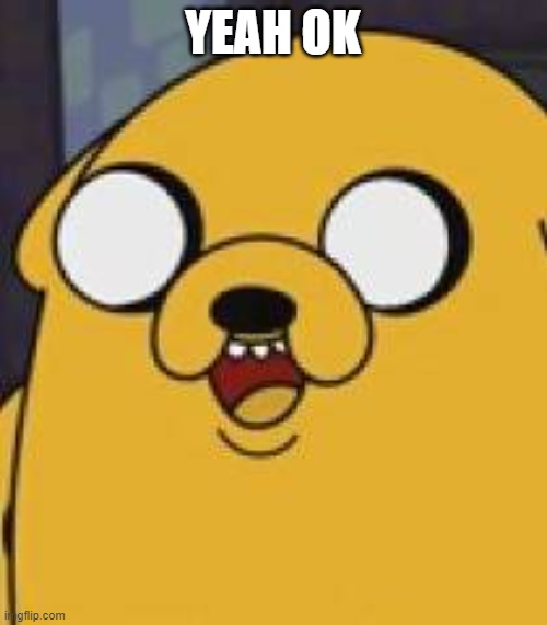 Jake The Dog Yeah Okay | YEAH OK | image tagged in jake the dog yeah okay | made w/ Imgflip meme maker