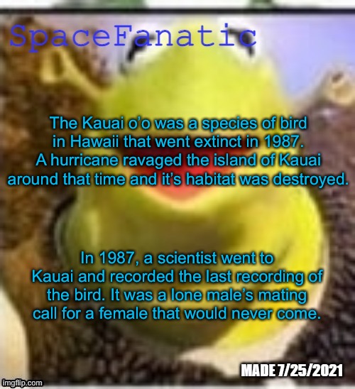 Ye Olde Announcements | The Kauai o’o was a species of bird in Hawaii that went extinct in 1987. A hurricane ravaged the island of Kauai around that time and it’s habitat was destroyed. In 1987, a scientist went to Kauai and recorded the last recording of the bird. It was a lone male’s mating call for a female that would never come. | image tagged in spacefanatic announcement temp | made w/ Imgflip meme maker