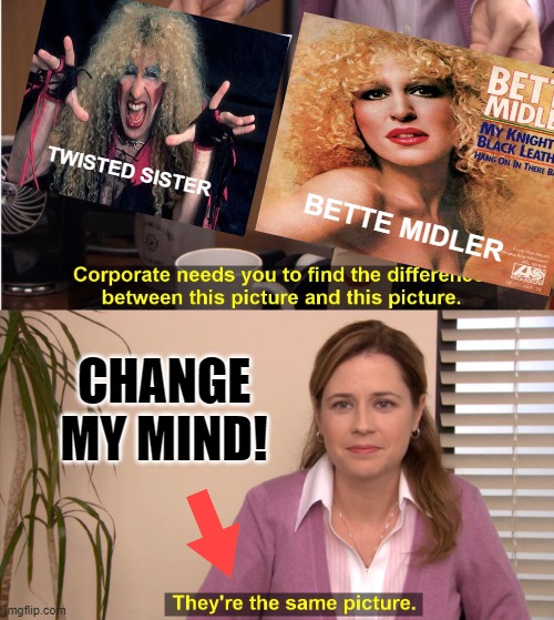 Bette Midler Is One Twisted Sister... | TWISTED SISTER; BETTE MIDLER; CHANGE MY MIND! | image tagged in memes,they're the same picture,so true,twins,dark humor | made w/ Imgflip meme maker