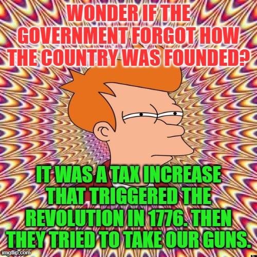 Fried Fry | WONDER IF THE GOVERNMENT FORGOT HOW THE COUNTRY WAS FOUNDED? IT WAS A TAX INCREASE THAT TRIGGERED THE REVOLUTION IN 1776. THEN THEY TRIED TO TAKE OUR GUNS. | image tagged in fried fry | made w/ Imgflip meme maker