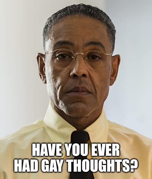 Gus Fring | HAVE YOU EVER HAD GAY THOUGHTS? | image tagged in gus fring | made w/ Imgflip meme maker