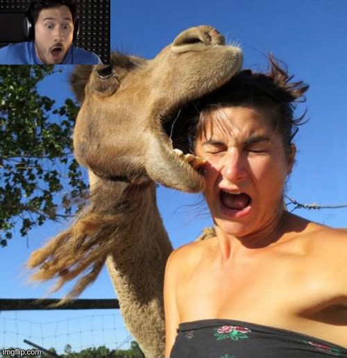 camel bite | image tagged in camel bite | made w/ Imgflip meme maker