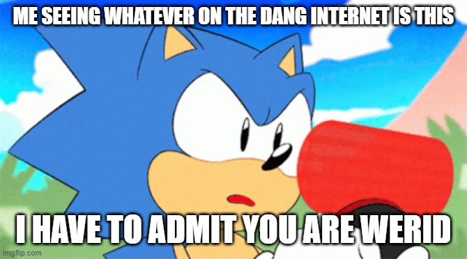 ME SEEING WHATEVER ON THE DANG INTERNET IS THIS I HAVE TO ADMIT YOU ARE WERID | made w/ Imgflip meme maker