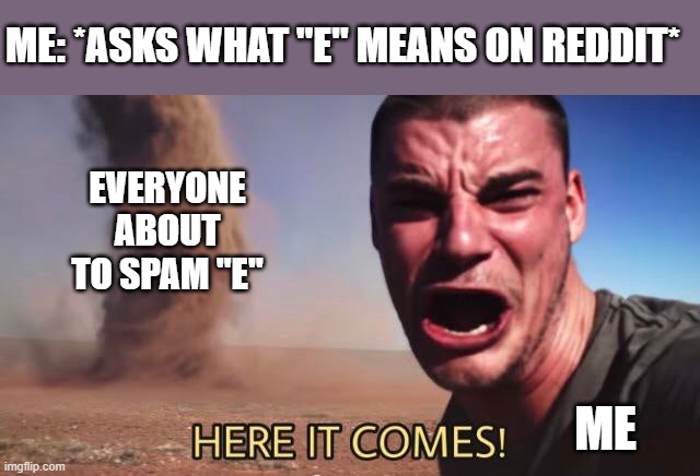 E | ME: *ASKS WHAT "E" MEANS ON REDDIT*; EVERYONE ABOUT TO SPAM "E"; ME | image tagged in here it comes | made w/ Imgflip meme maker