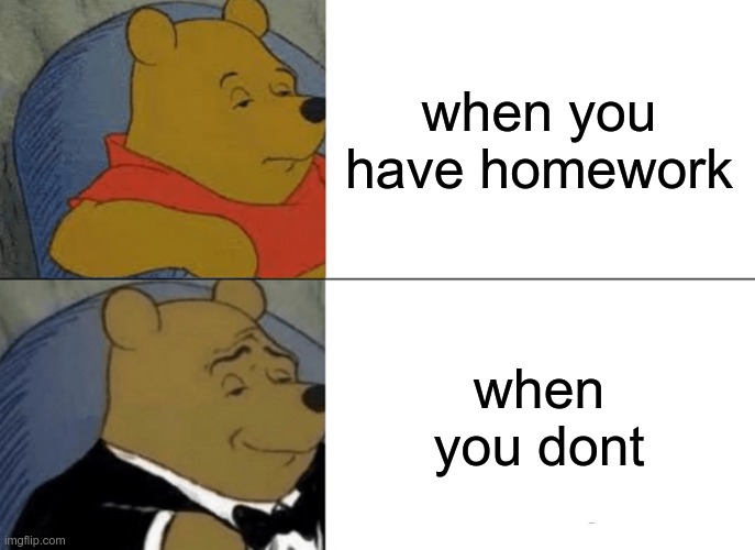 Tuxedo Winnie The Pooh | when you have homework; when you dont | image tagged in memes,tuxedo winnie the pooh | made w/ Imgflip meme maker