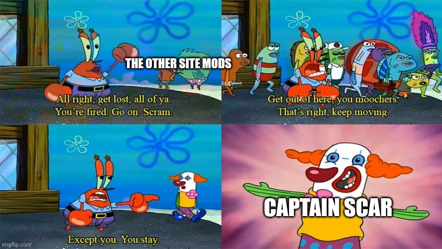 You Can Stay | THE OTHER SITE MODS; CAPTAIN SCAR | image tagged in you can stay | made w/ Imgflip meme maker