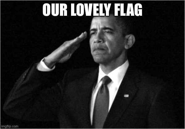 obama-salute | OUR LOVELY FLAG | image tagged in obama-salute | made w/ Imgflip meme maker