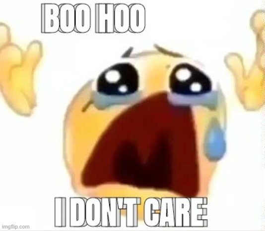 Boo hoo i don't care (better) | image tagged in boo hoo i don't care better | made w/ Imgflip meme maker