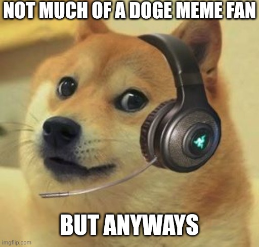 NOT MUCH OF A DOGE MEME FAN; BUT ANYWAYS | made w/ Imgflip meme maker