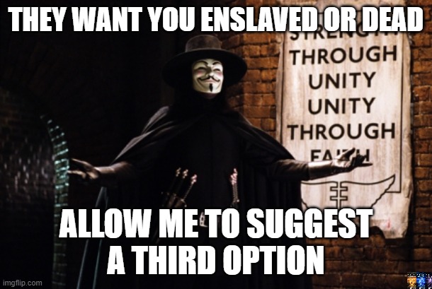 V harder | THEY WANT YOU ENSLAVED OR DEAD; ALLOW ME TO SUGGEST
A THIRD OPTION | image tagged in v for vendetta | made w/ Imgflip meme maker
