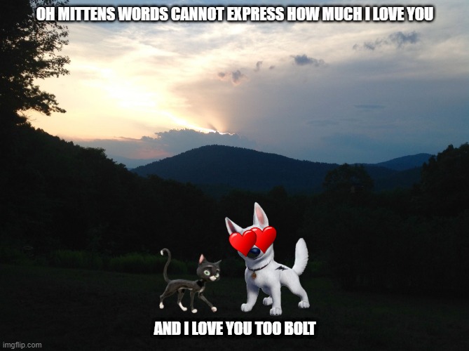 bolttens sunset romance | OH MITTENS WORDS CANNOT EXPRESS HOW MUCH I LOVE YOU; AND I LOVE YOU TOO BOLT | image tagged in mountain sunset,dogs,cats,romance | made w/ Imgflip meme maker