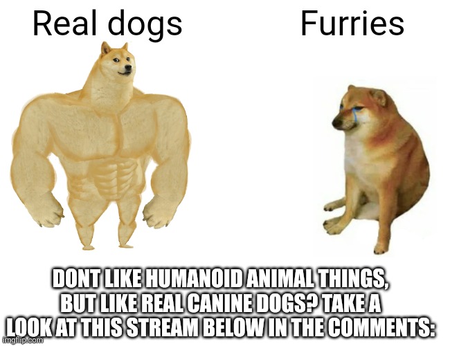 So like, can I be a mod? | Real dogs; Furries; DONT LIKE HUMANOID ANIMAL THINGS, BUT LIKE REAL CANINE DOGS? TAKE A LOOK AT THIS STREAM BELOW IN THE COMMENTS: | image tagged in memes,buff doge vs cheems | made w/ Imgflip meme maker