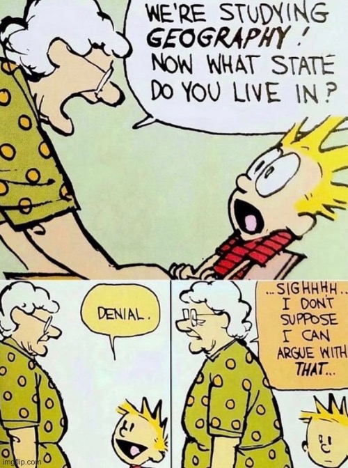 image tagged in calvin and hobbes,denial | made w/ Imgflip meme maker