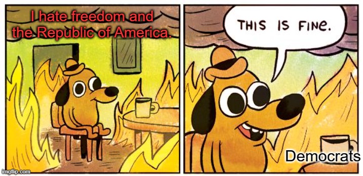This Is Fine | I hate freedom and the Republic of America. Democrats | image tagged in memes,this is fine | made w/ Imgflip meme maker