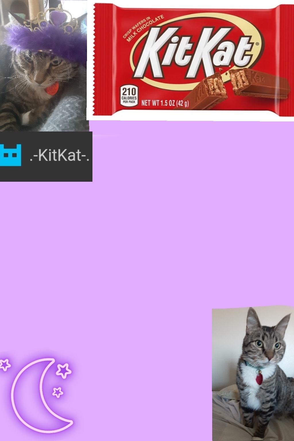 High Quality Kittys announcement template kitkat addition Blank Meme Template