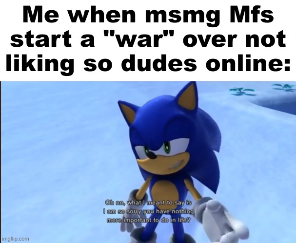i am so sorry you have nothing more important to do in life | Me when msmg Mfs start a "war" over not liking so dudes online: | image tagged in i am so sorry you have nothing more important to do in life | made w/ Imgflip meme maker
