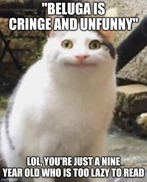 Beluga cat sus | "BELUGA IS CRINGE AND UNFUNNY"; LOL, YOU'RE JUST A NINE YEAR OLD WHO IS TOO LAZY TO READ | image tagged in beluga cat sus | made w/ Imgflip meme maker