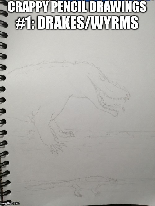 Prepare your eyes | CRAPPY PENCIL DRAWINGS; #1: DRAKES/WYRMS | image tagged in drawing,drawings,dragons,fantasy | made w/ Imgflip meme maker