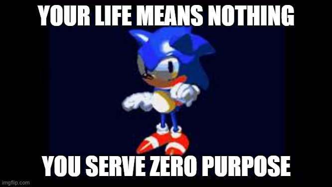 Prototype Sonic | YOUR LIFE MEANS NOTHING; YOU SERVE ZERO PURPOSE | image tagged in prototype sonic | made w/ Imgflip meme maker