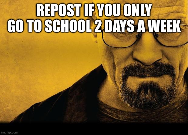 (LAKS: Lucky you) | REPOST IF YOU ONLY GO TO SCHOOL 2 DAYS A WEEK | image tagged in breaking bad | made w/ Imgflip meme maker