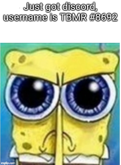 Joined the discord | Just got discord, username is TBMR #8692 | image tagged in angry spongebob blank | made w/ Imgflip meme maker