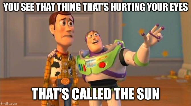 me: | YOU SEE THAT THING THAT'S HURTING YOUR EYES; THAT'S CALLED THE SUN | image tagged in toystory everywhere,gaming | made w/ Imgflip meme maker