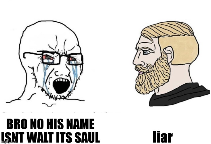 better call walt | liar; BRO NO HIS NAME ISNT WALT ITS SAUL | image tagged in memes,funny,soyboy vs yes chad,better call saul,breaking bad,walter white | made w/ Imgflip meme maker