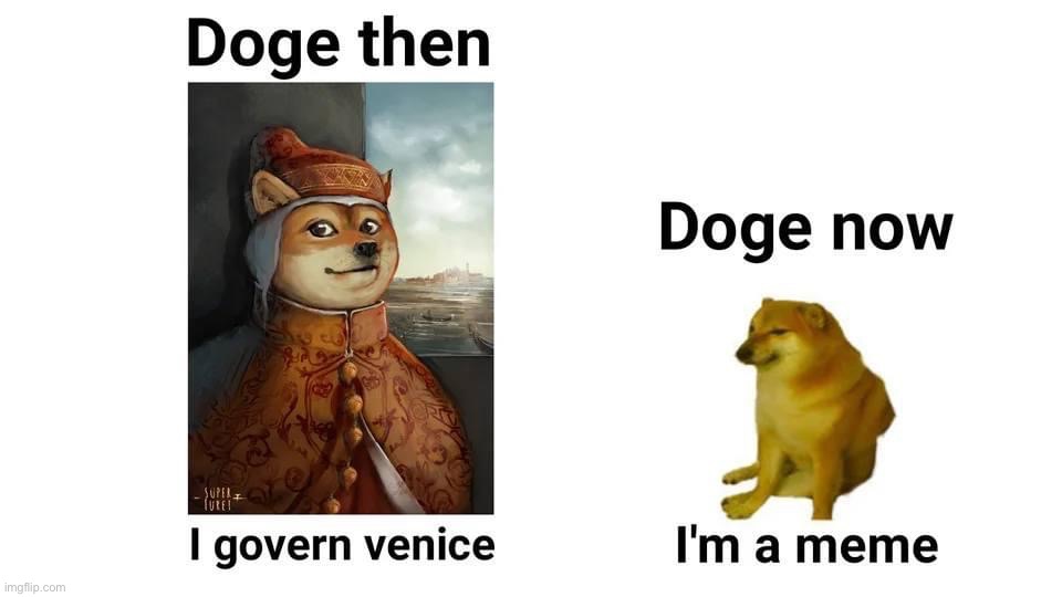 Doge then vs. doge now | image tagged in doge then vs doge now | made w/ Imgflip meme maker