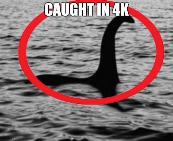 CAUGHT IN 4K | made w/ Imgflip meme maker