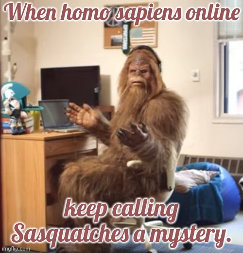 Hint #1: They are not apes | When homo sapiens online; keep calling Sasquatches a mystery. | image tagged in wtf sasquatch,homie,human evolution,ancient | made w/ Imgflip meme maker