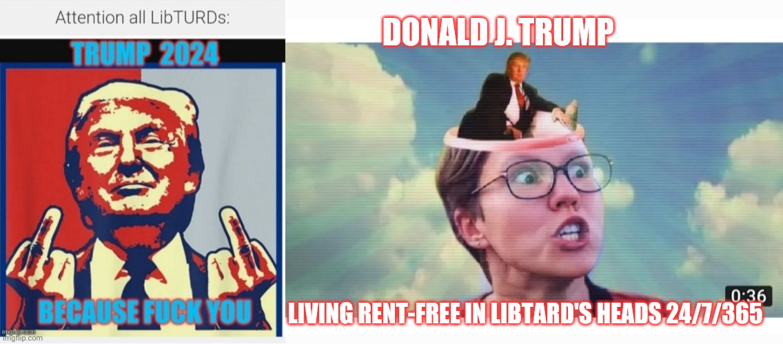 DONALD J. TRUMP LIVING RENT-FREE IN LIBTARD'S HEADS 24/7/365 | made w/ Imgflip meme maker