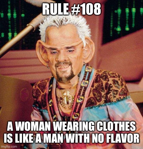 Guy Ferengi | RULE #108; A WOMAN WEARING CLOTHES IS LIKE A MAN WITH NO FLAVOR | image tagged in guy ferengi,startrekmemes | made w/ Imgflip meme maker