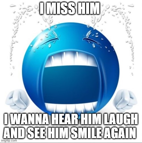 GRRRRRRRRR | I MISS HIM; I WANNA HEAR HIM LAUGH AND SEE HIM SMILE AGAIN | image tagged in crying blue guy | made w/ Imgflip meme maker