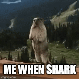 screaming gopher - Imgflip