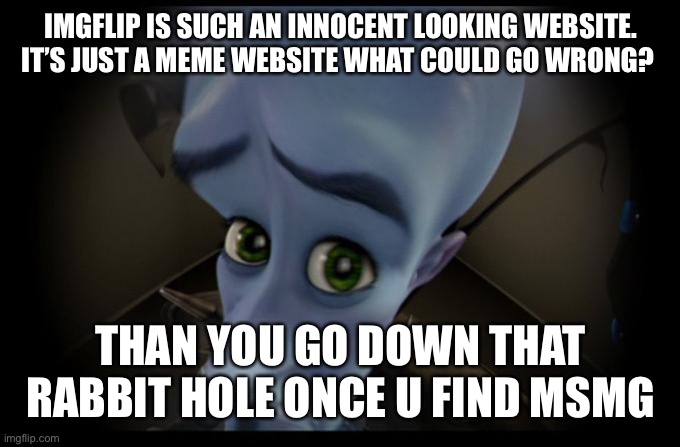 No B****es? | IMGFLIP IS SUCH AN INNOCENT LOOKING WEBSITE. IT’S JUST A MEME WEBSITE WHAT COULD GO WRONG? THAN YOU GO DOWN THAT RABBIT HOLE ONCE U FIND MSMG | image tagged in no b es | made w/ Imgflip meme maker