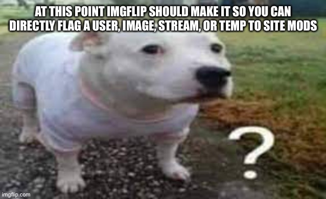 Dog question mark | AT THIS POINT IMGFLIP SHOULD MAKE IT SO YOU CAN DIRECTLY FLAG A USER, IMAGE, STREAM, OR TEMP TO SITE MODS | image tagged in dog question mark | made w/ Imgflip meme maker
