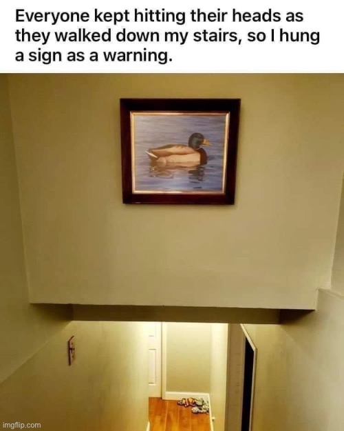 Quack- not my creation | image tagged in duck,stairs,eyeroll,i do one push-up,duck pun | made w/ Imgflip meme maker