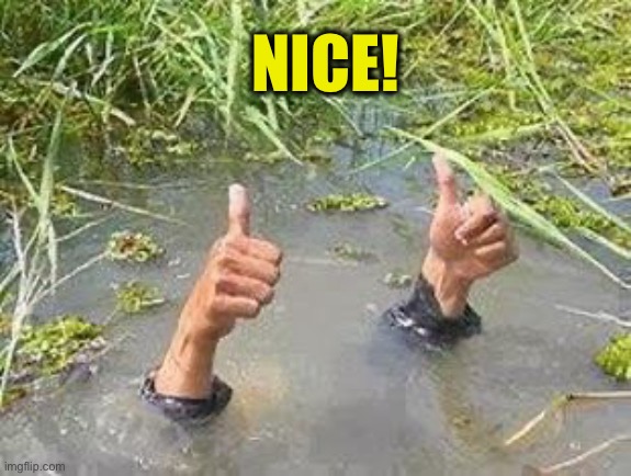 FLOODING THUMBS UP | NICE! | image tagged in flooding thumbs up | made w/ Imgflip meme maker
