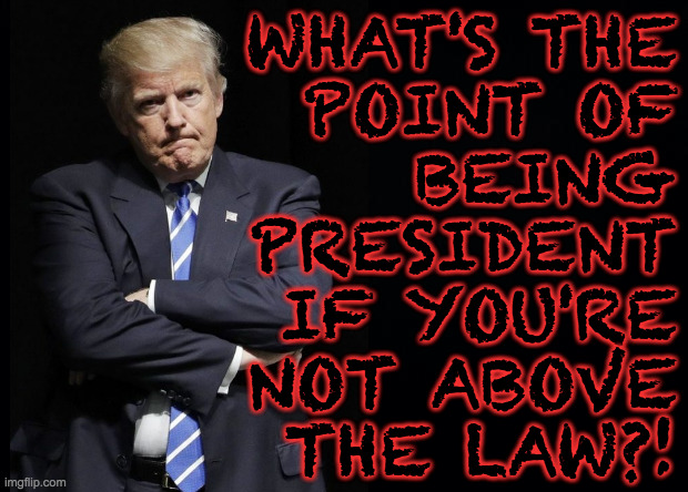 The Oath of Office is just something you say. | WHAT'S THE
POINT OF
BEING
PRESIDENT
IF YOU'RE
NOT ABOVE
THE LAW?! | image tagged in pissed off toddler,memes,oath of office | made w/ Imgflip meme maker
